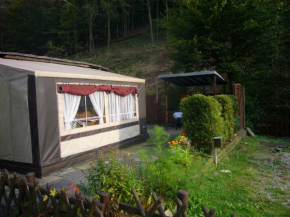 Hotels in Lonau
